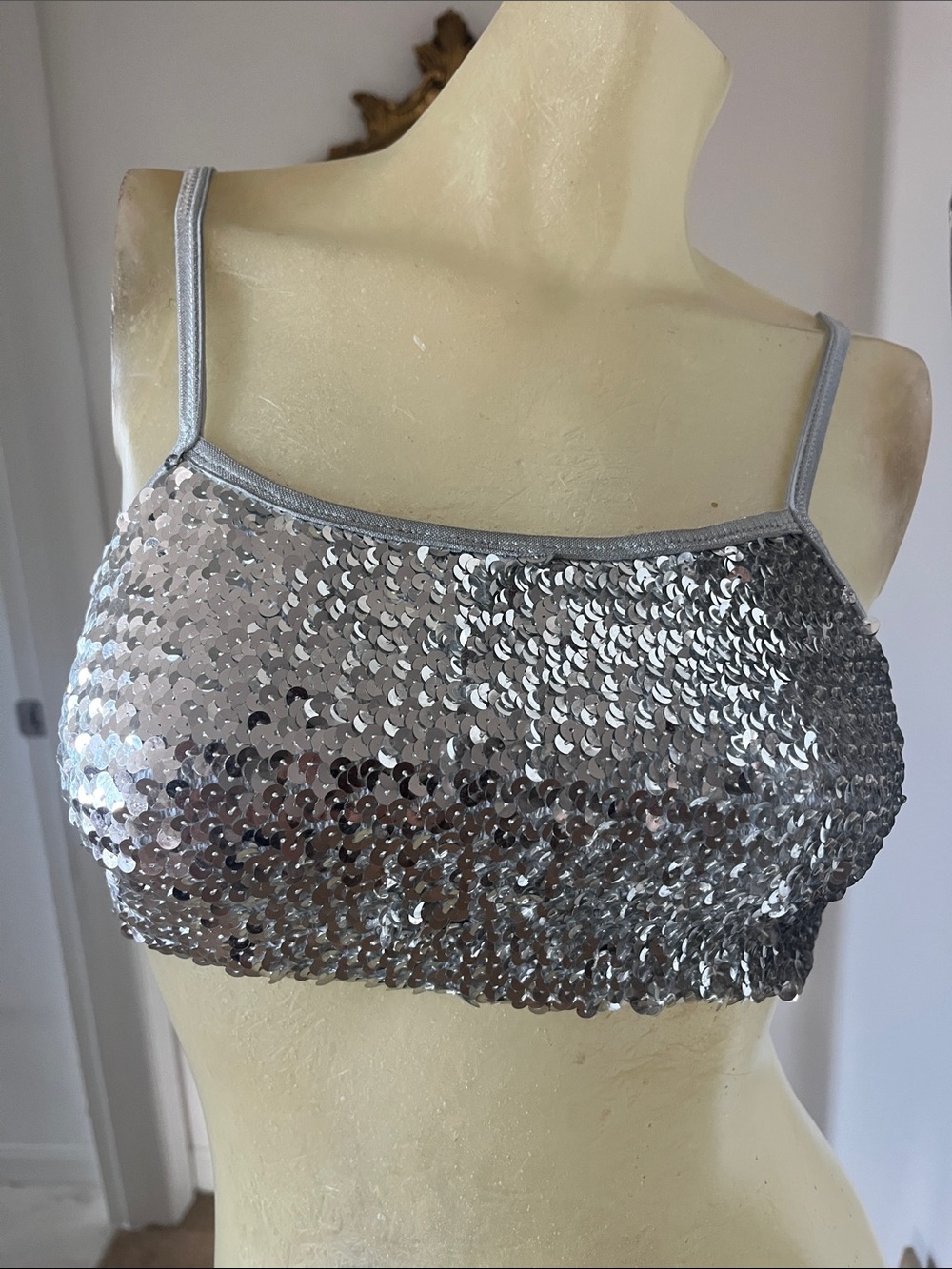 Urban Outfitters Out From Under Silver Sequin Spaghetti Strap Crop Top/Bra